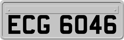 ECG6046