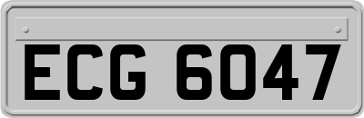 ECG6047