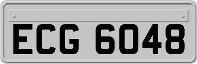 ECG6048