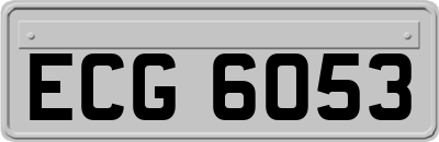 ECG6053