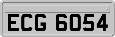 ECG6054
