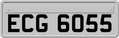 ECG6055