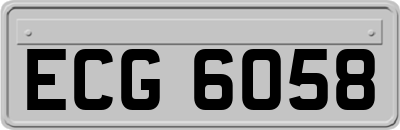 ECG6058