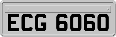ECG6060