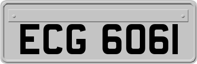 ECG6061