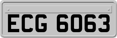 ECG6063
