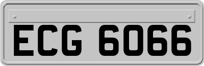 ECG6066