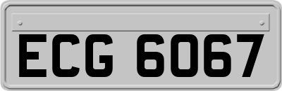 ECG6067