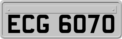 ECG6070
