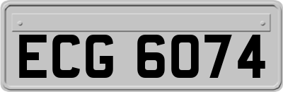 ECG6074