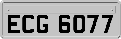 ECG6077