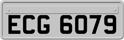 ECG6079