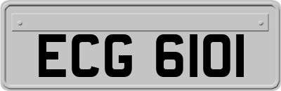 ECG6101