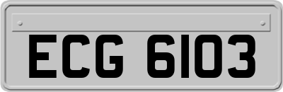 ECG6103