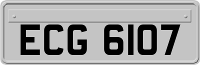 ECG6107