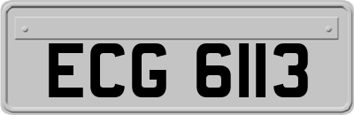 ECG6113