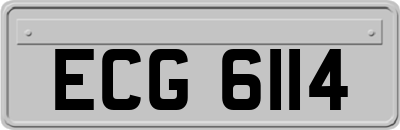 ECG6114