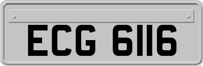 ECG6116