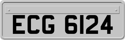 ECG6124