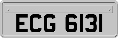 ECG6131
