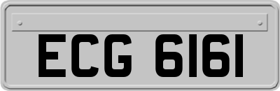 ECG6161