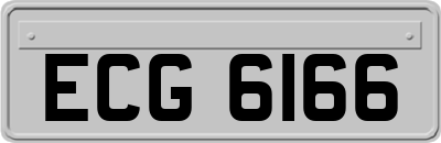 ECG6166