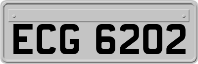 ECG6202