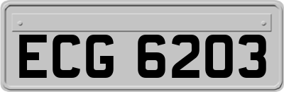 ECG6203