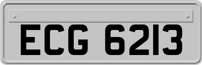 ECG6213
