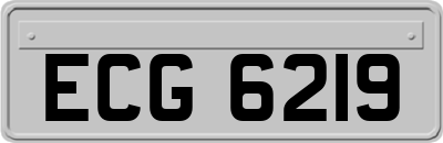ECG6219