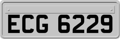 ECG6229