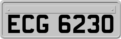 ECG6230
