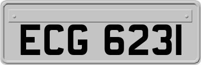 ECG6231