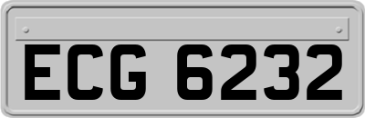 ECG6232