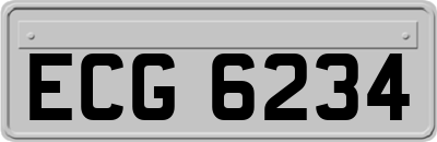 ECG6234