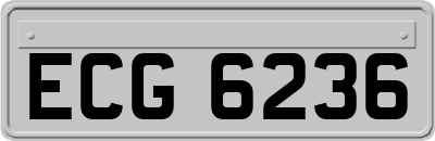 ECG6236