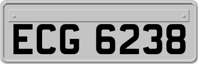 ECG6238