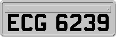 ECG6239
