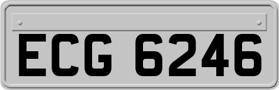 ECG6246