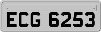 ECG6253