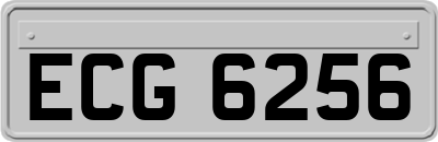 ECG6256