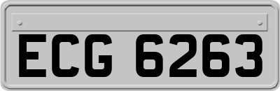 ECG6263
