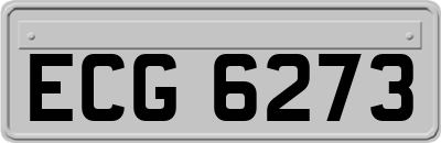 ECG6273