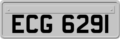 ECG6291