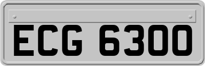 ECG6300