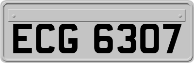 ECG6307