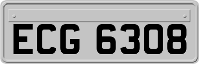ECG6308
