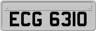 ECG6310