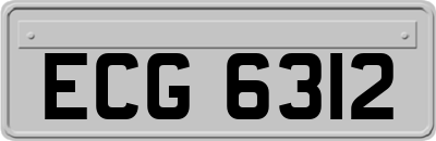 ECG6312