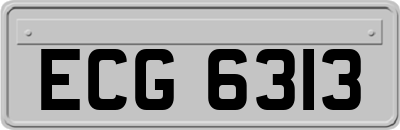 ECG6313